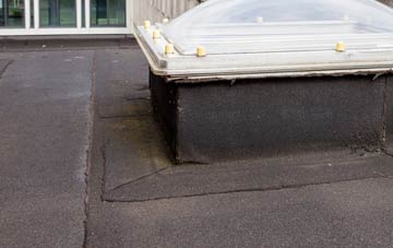disadvantages of South Allington flat roofs